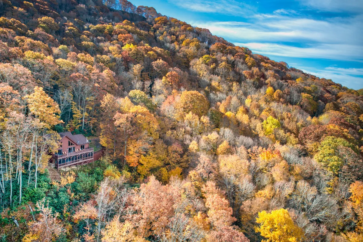 The house nestled among a thicket of trees, surrounded by vibrant autumn foliage and framed by a dramatic mountainous backdrop. The inviting porch and serene setting convey a sense of seclusion and connection to nature.