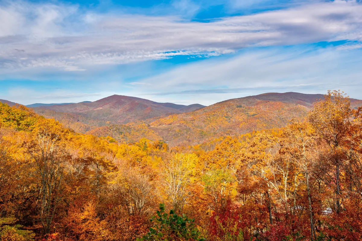 A sweeping vista of vibrant autumn foliage stretches across rolling mountains under a clear blue sky, capturing the beauty of the surrounding region. The view invites outdoor excursions and seasonal appreciation.